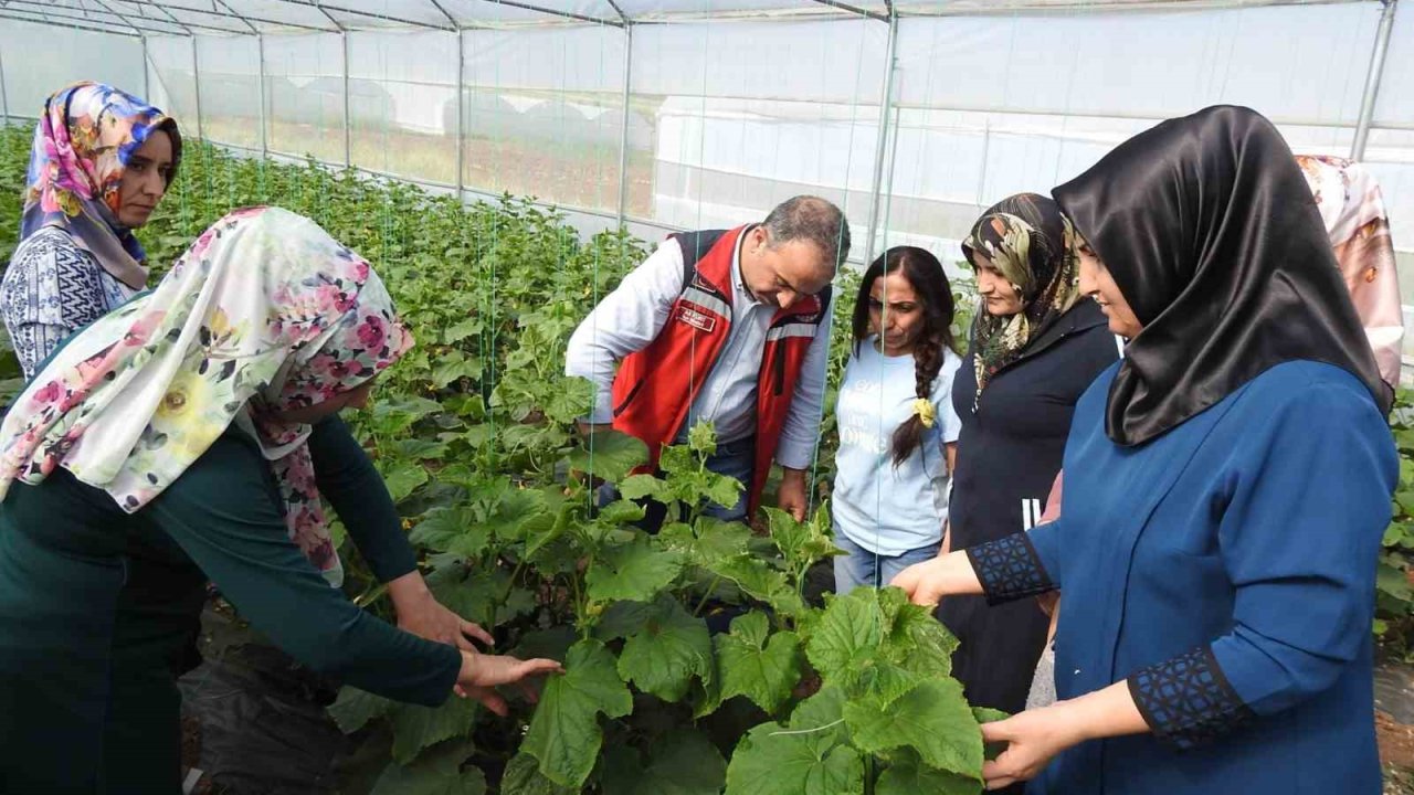 Türkiye Gaziantep'teki Bu Projeyi Konuşuyor:  Günde 500 kilo ürün alıyorlar