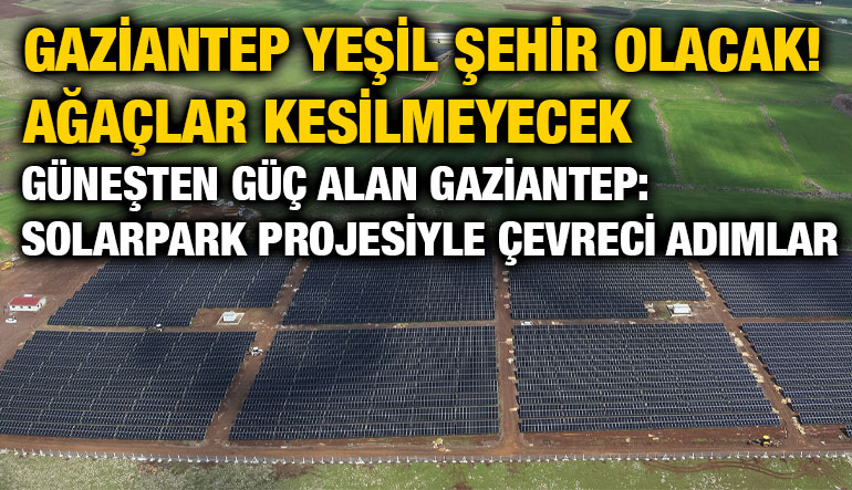 Gaziantep Yeşil Şehir Olacak! Ağaçlar Kesilmeyecek