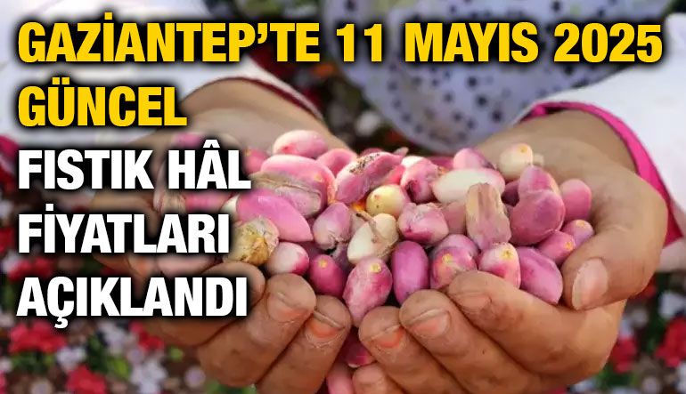 Gaziantep’te 11 Mayıs 2025 Günü Güncel Fıstık Hâl Fiyatları Açıklandı