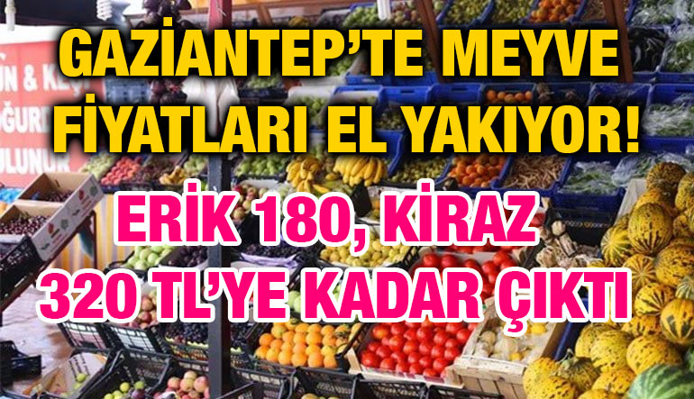 Gaziantep’te Meyve Fiyatları El Yakıyor! Erik 180, Kiraz 320 TL’ye Kadar Çıktı