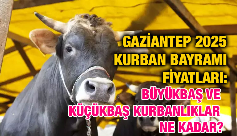 Gaziantep 2025 Kurban Bayramı Fiyatları: Büyükbaş ve Küçükbaş Kurbanlıklar Ne Kadar?