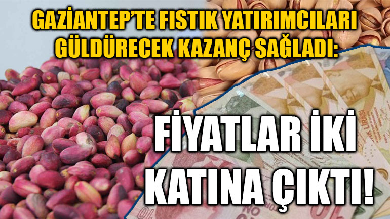 Gaziantep’te Fıstık Yatırımcıları Güldürecek Kazanç Sağladı: Fiyatlar İki Katına Çıktı!