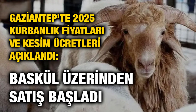 Gaziantep’te 2025 Kurbanlık Fiyatları ve Kesim Ücretleri Açıklandı: Baskül Üzerinden Satış Başladı