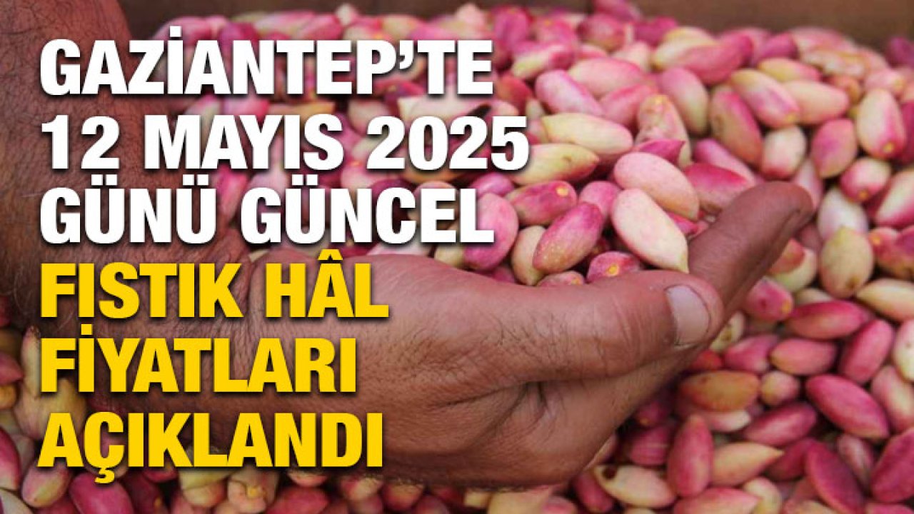Gaziantep’te 12 Mayıs 2025 Günü Güncel Fıstık Hâl Fiyatları Açıklandı