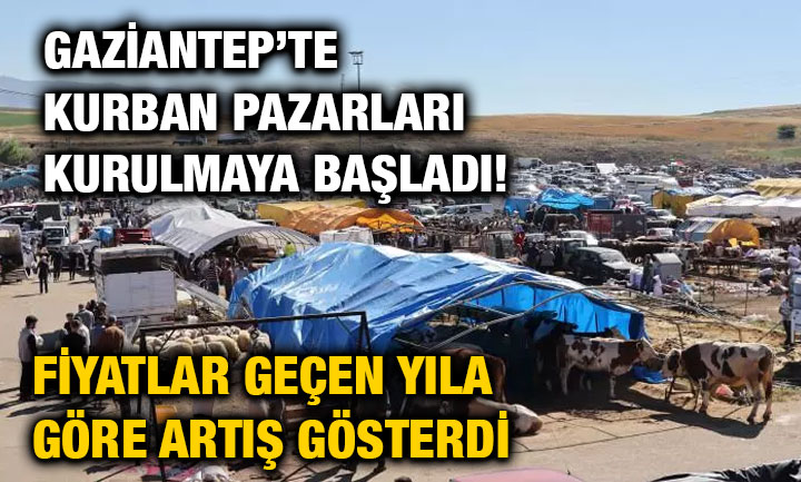 Gaziantep’te Kurban Pazarları Kurulmaya Başladı! Fiyatlar Geçen Yıla Göre Artış Gösterdi