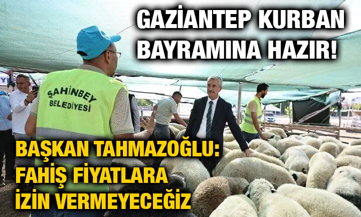 Gaziantep Kurban Bayramına Hazır! Başkan Tahmazoğlu: Fahiş Fiyatlara İzin Vermeyeceğiz