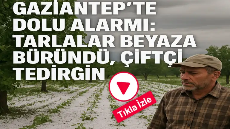 Gaziantep'i Dolu Vurdu! Çiftçi Tedirgin