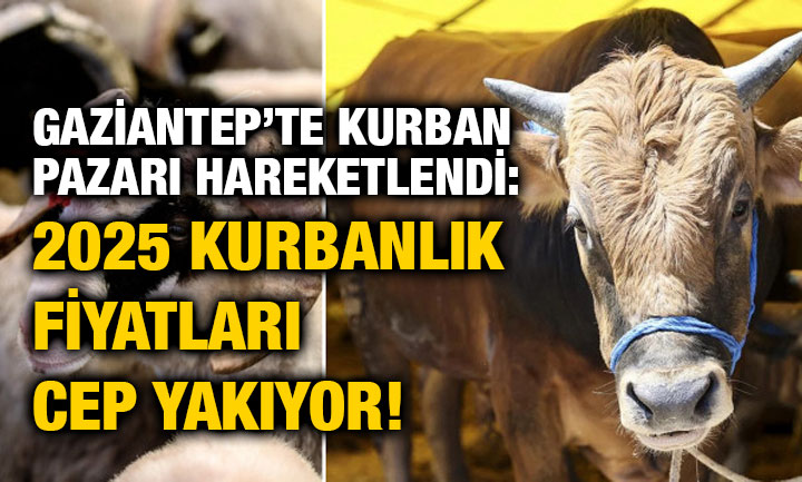 Gaziantep’te Kurban Pazarı Hareketlendi: 2025 Kurbanlık Fiyatları Cep Yakıyor!