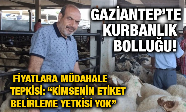 Gaziantep’te Kurbanlık Bolluğu! Fiyatlara Müdahale Tepkisi: “Kimsenin Etiket Belirleme Yetkisi Yok”