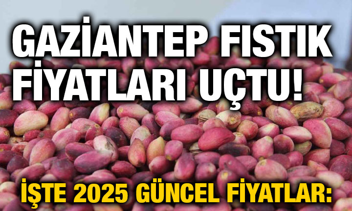 Gaziantep Fıstık Fiyatları Uçtu! İşte 2025 Güncel Fiyatlar: