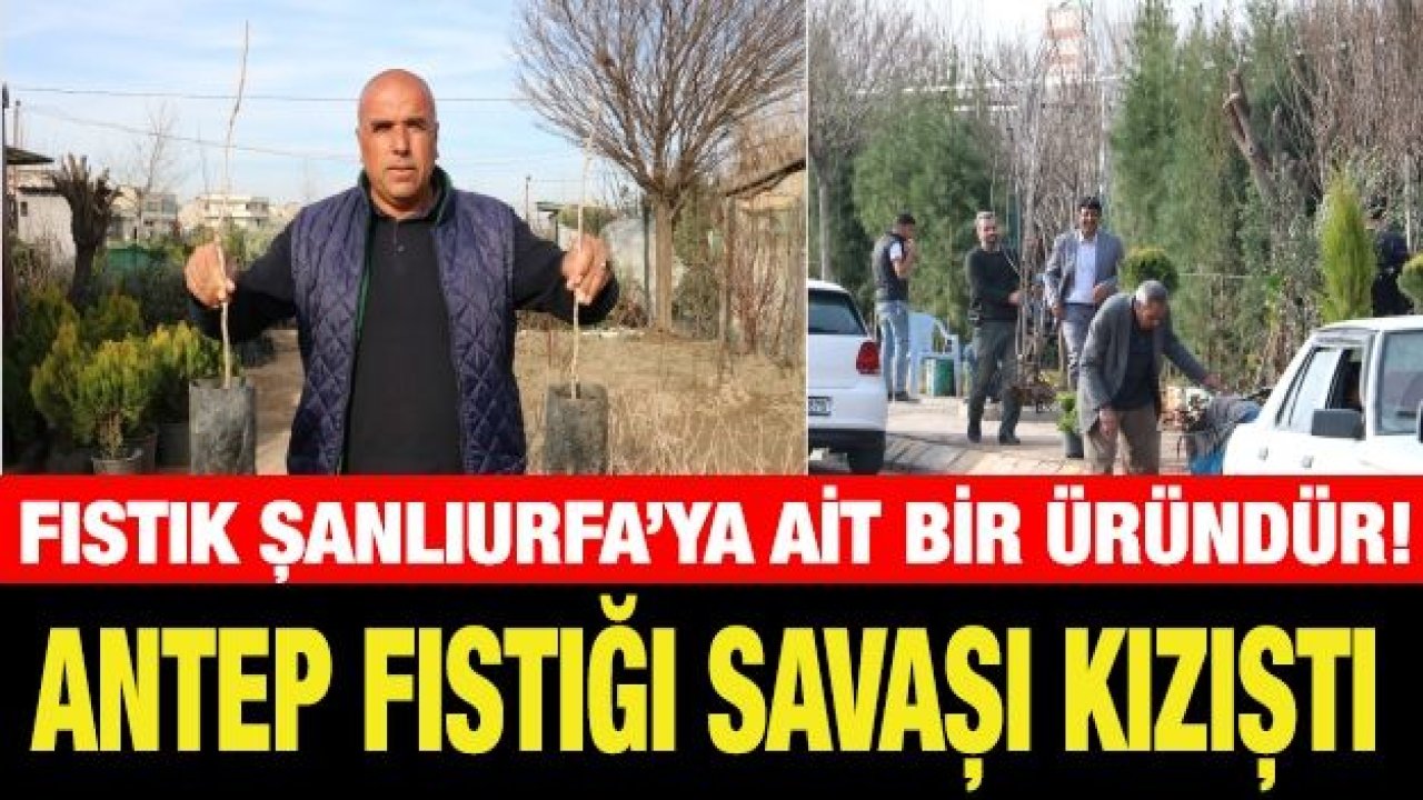 Antep fıstığı savaşı kızıştı