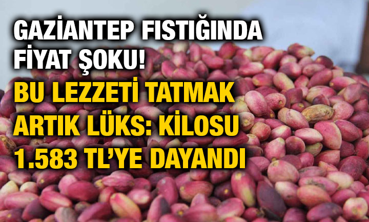 Gaziantep Fıstığında Fiyat Şoku! Bu Lezzeti Tatmak Artık Lüks: Kilosu 1.583 TL’ye Dayandı
