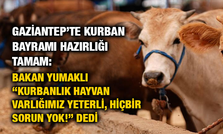 Gaziantep’te Kurban Bayramı Hazırlığı Tamam: Bakan Yumaklı “Kurbanlık Hayvan Varlığımız Yeterli, Hiçbir Sorun Yok!” Dedi