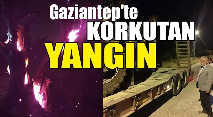 Gaziantep Nizip'te Korkutan Yangın! Keklik Mahallesi Alevlere Teslim Oldu, Ekipler Felaketi Önledi