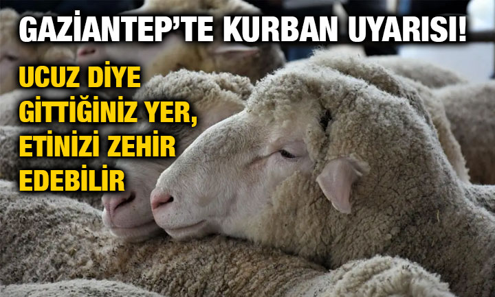 Gaziantep’te Kurban Uyarısı! Ucuz Diye Gittiğiniz Yer, Etinizi Zehir Edebilir