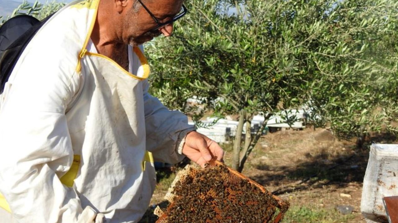 Gaziantep'te doktorun bal tavsiyesi hayatını değiştirdi