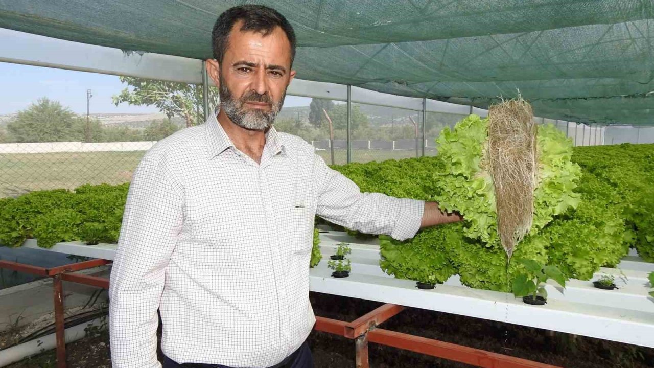 Gaziantep ve Türkiye Bu Çiftçiyi Konuşuyor: '70 günde yetişen ürünü 30 günde üretiyor'