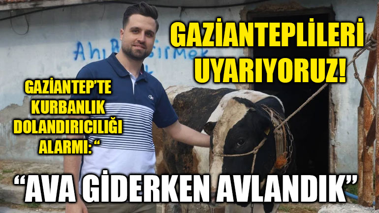 Gaziantep’te Kurbanlık Dolandırıcılığı Alarmı: “Ava Giderken Avlandık” – Gazianteplileri Uyarıyoruz!