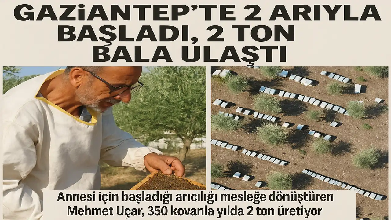Gaziantep'li Arıcının Türkiye'ye Yayılan Hikayesi! 2 Arıyla Başladı, 2 Ton Bala Ulaştı