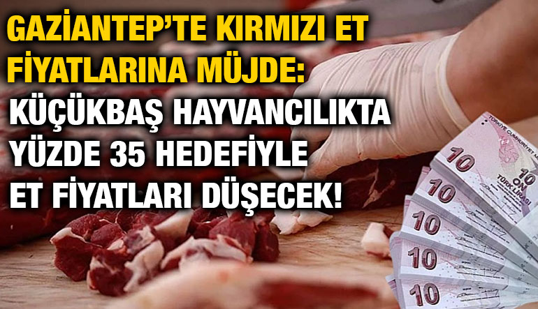 Gaziantep’te Kırmızı Et Fiyatlarına Müjde: Küçükbaş Hayvancılıkta Yüzde 35 Hedefiyle Et Fiyatları Düşecek!