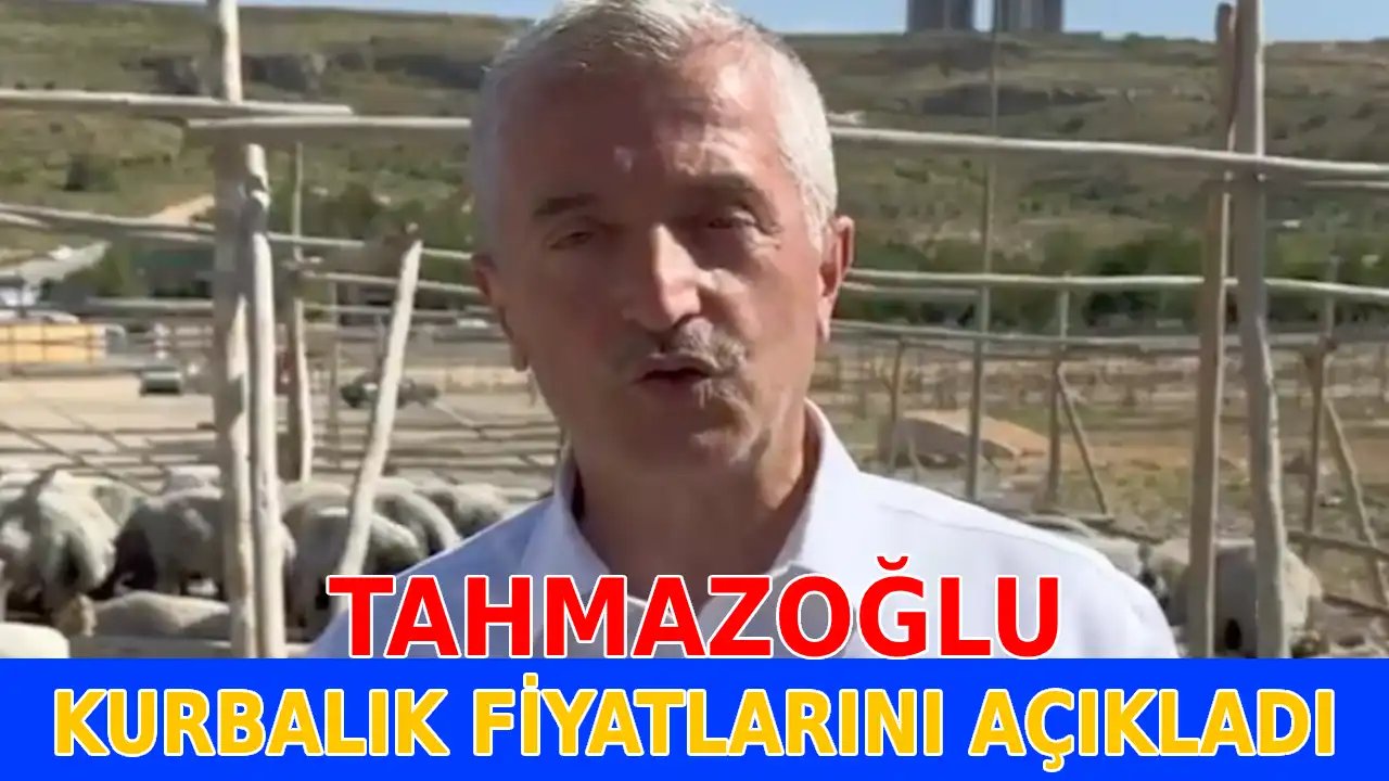 Tahmazoğlu Fahiş Kurban Fiyatlarına Dur Dedi! İşte Açıklanan Kurbanlık Fiyatları