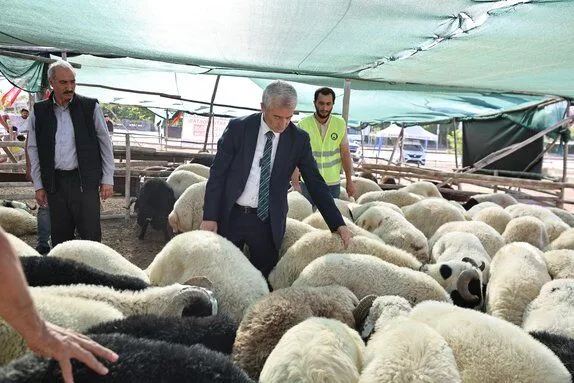 Gaziantep’te Kurbanlık Fiyatlarında Fırsatçılığa Son! Şahinbey Belediyesi’nden Sabit ve Uygun Kurbanlık Fiyatları Açıklaması