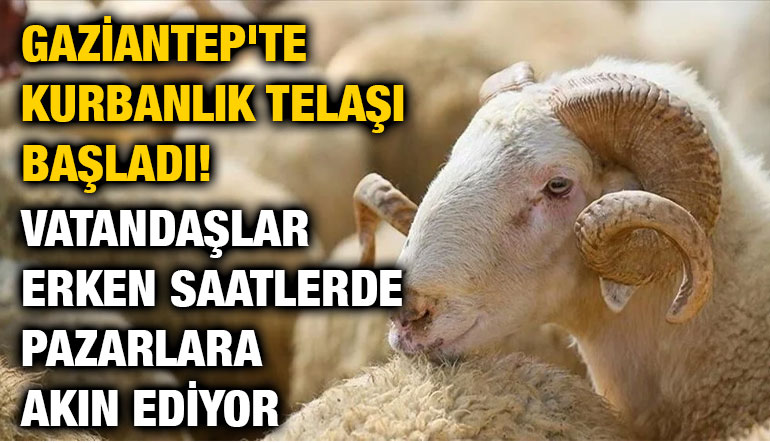 Gaziantep'te Kurbanlık Telaşı Başladı! Vatandaşlar Erken Saatlerde Pazarlara Akın Ediyor