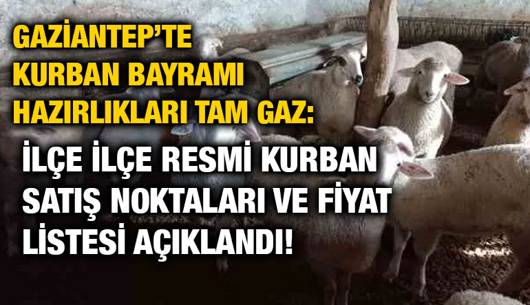 Gaziantep’te Kurban Bayramı Hazırlıkları Tam Gaz: İlçe İlçe Resmi Kurban Satış Noktaları ve Fiyat Listesi Açıklandı!
