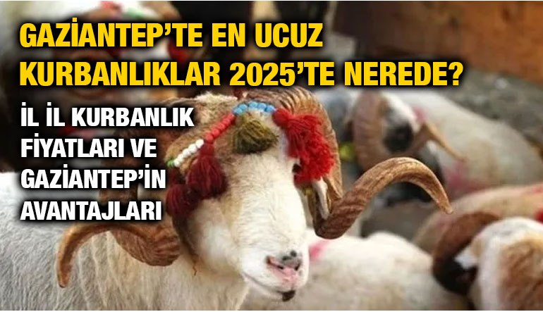 Gaziantep’te En Ucuz Kurbanlıklar 2025’te Nerede? İl İl Kurbanlık Fiyatları ve Gaziantep’in Avantajları