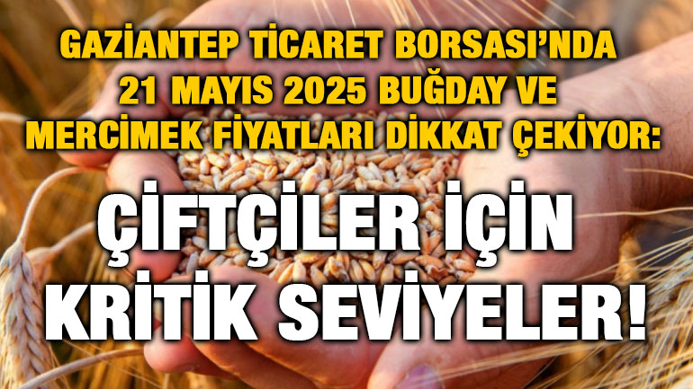 Gaziantep Ticaret Borsası’nda 21 Mayıs 2025 Buğday ve Mercimek Fiyatları Dikkat Çekiyor: Çiftçiler İçin Kritik Seviyeler!