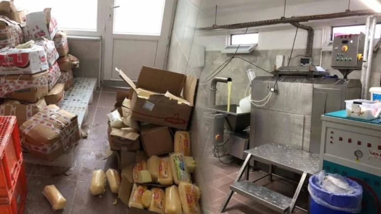 Gaziantepliler Dikkat! Mide Bulandıran Sahte Kaşar Operasyonu: 5 Tonluk Skandal Ortaya Çıktı
