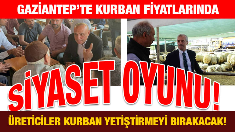 Gaziantep’te Kurban Fiyatlarında Siyaset Oyunu! Üreticiler Kurban Yetiştirmeyi Bırakacak!
