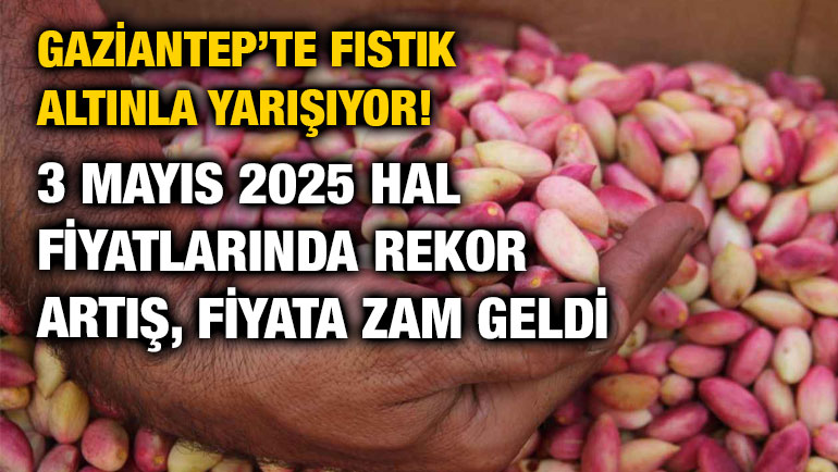 Gaziantep’te Fıstık Altınla Yarışıyor! 23 Mayıs 2025 Hal Fiyatlarında Rekor Artış, Fiyata 1 TL Zam Geldi