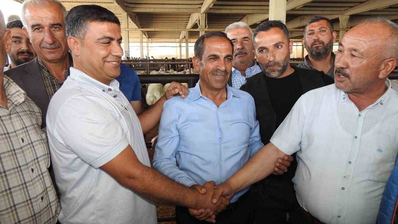 Gaziantep'te Kurban Pazarları Hareketlendi! İşte Fiyatlarda Son Durum