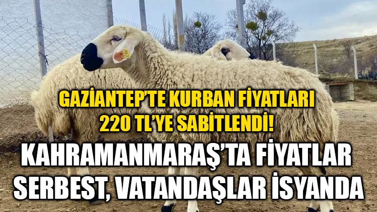 Gaziantep’te Kurban Fiyatları 220 TL’ye Sabitlendi! Kahramanmaraş’ta Fiyatlar Serbest, Vatandaşlar İsyanda