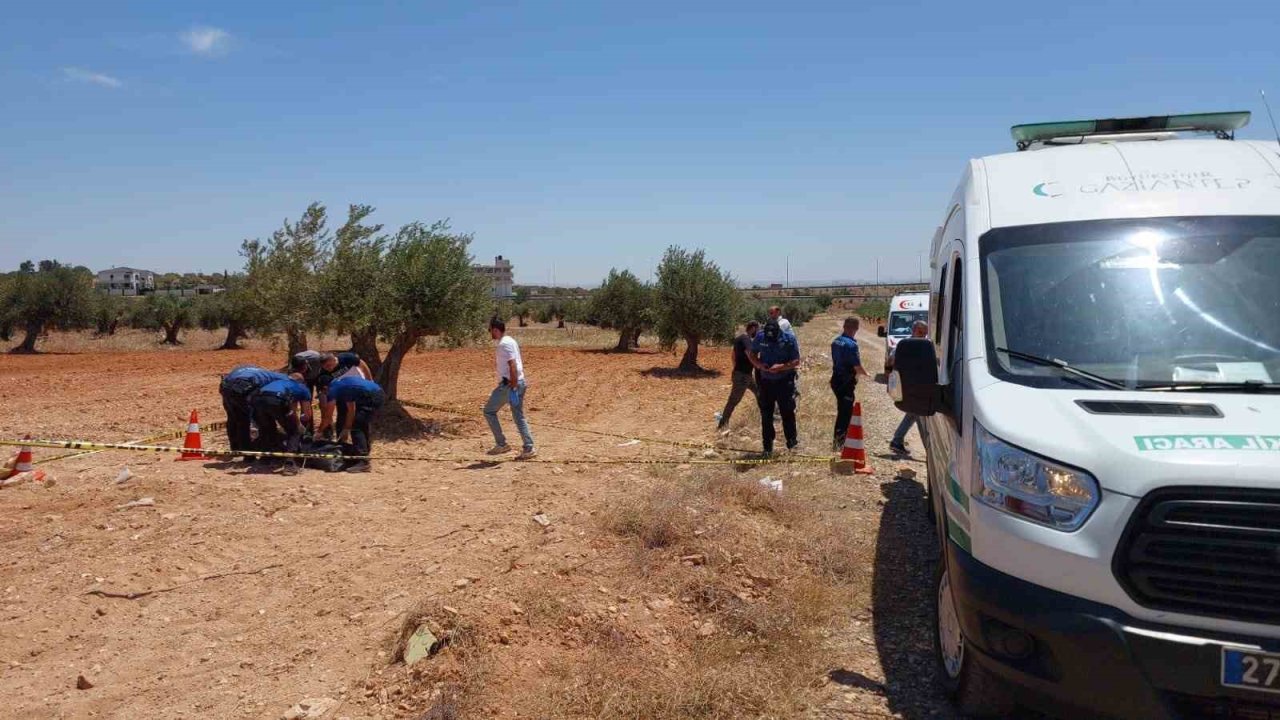 Gaziantep’te bir genç zeytin tarlasında ölü bulundu