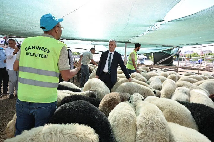 Tahmazoğlu Kurban Fiyatlarını Düşürdü! Tahmazoğlu’na Oda Başkanından Sert Tepki
