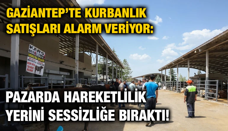 Gaziantep’te Kurbanlık Satışları Alarm Veriyor: Pazarda Hareketlilik Yerini Sessizliğe Bıraktı!