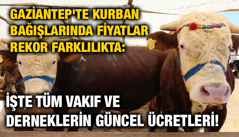 Gaziantep'te Kurban Bağışlarında Fiyatlar Rekor Farklılıkta: İşte Tüm Vakıf ve Derneklerin Güncel Ücretleri!