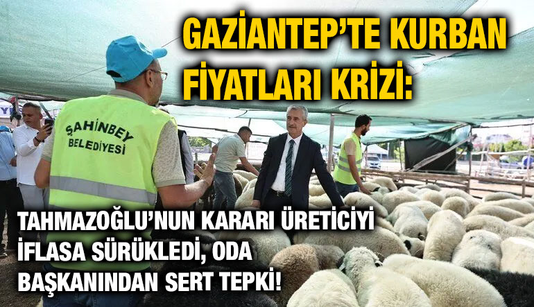 Gaziantep’te Kurban Fiyatları Krizi: Tahmazoğlu’nun Kararı Üreticiyi İflasa Sürükledi, Oda Başkanından Sert Tepki!