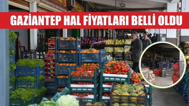 Gaziantep Hal Fiyatlarında Şaşırtan Artış! Meyve ve Sebzede Rekor Fiyatlar Vatandaşı Zorluyor