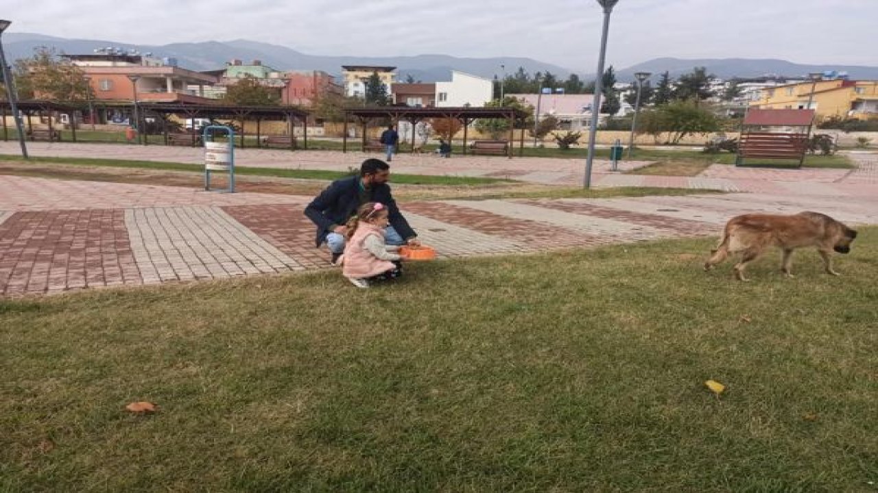 Nurdağı'nda sokak hayvanları beslendi