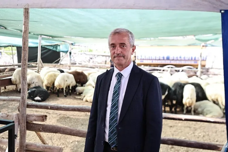 Gaziantep'te Uygun Fiyatlı Kurbanlık Satışları Bu 5 Noktada Başlayacak!
