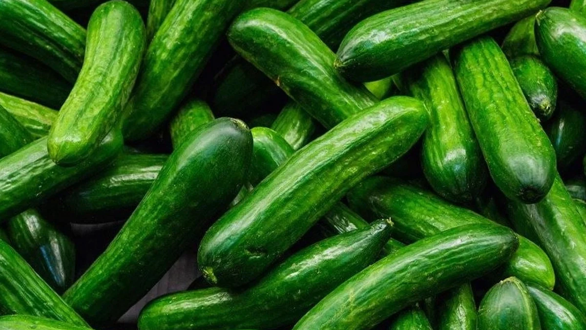 Salatalıkta Tehlike Alarmı! "Hemen Tüketmeyi Bırakın" Uyarısı – Raflardan Toplatılıyor