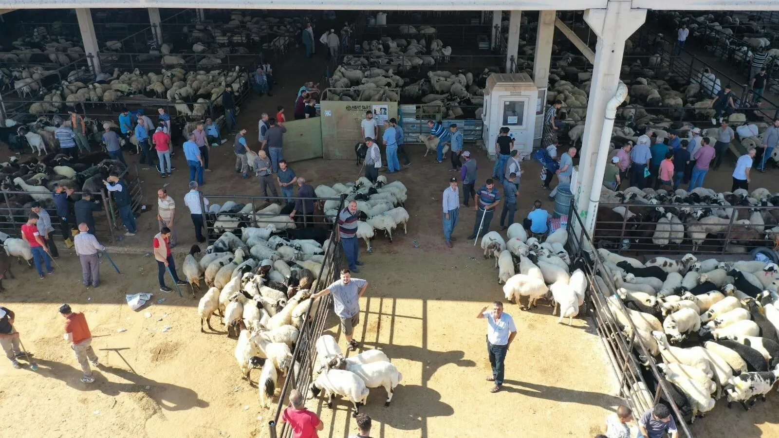 Gaziantep Kurban Bayramına Hazır: 42 Kesim, 13 Satış Noktasıyla Tam Teşekküllü Önlem!
