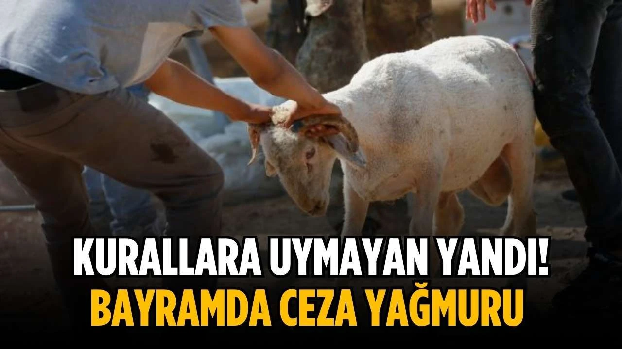 Gaziantep'te Bayramda Kurban Uyarısı! Meydanlarda Kesim Yapan Yandı: Ceza Yağacak