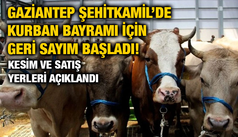 Gaziantep Şehitkamil’de Kurban Bayramı İçin Geri Sayım Başladı! Kesim ve Satış Yerleri Açıklandı