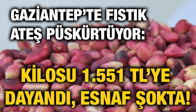 Gaziantep’te Fıstık Ateş Püskürtüyor: Kilosu 1.551 TL’ye Dayandı, Esnaf Şokta!