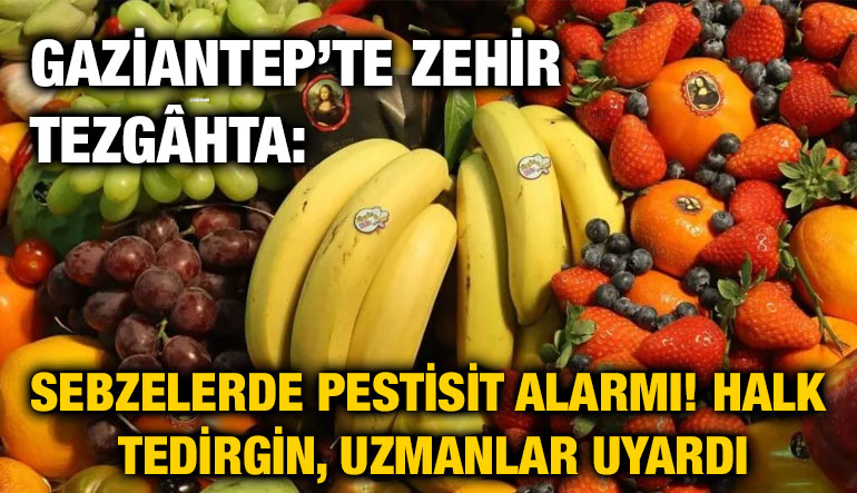 Gaziantep’te Zehir Tezgâhta: Sebzelerde Pestisit Alarmı! Halk Tedirgin, Uzmanlar Uyardı