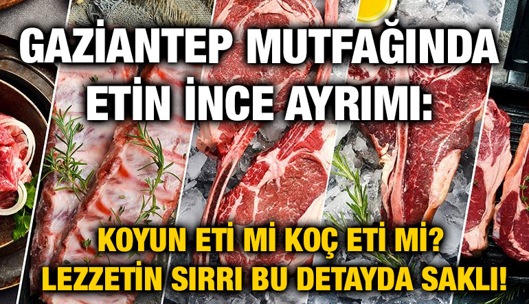 Gaziantep Mutfağında Etin İnce Ayrımı: Koyun Eti mi Koç Eti mi? Lezzetin Sırrı Bu Detayda Saklı!